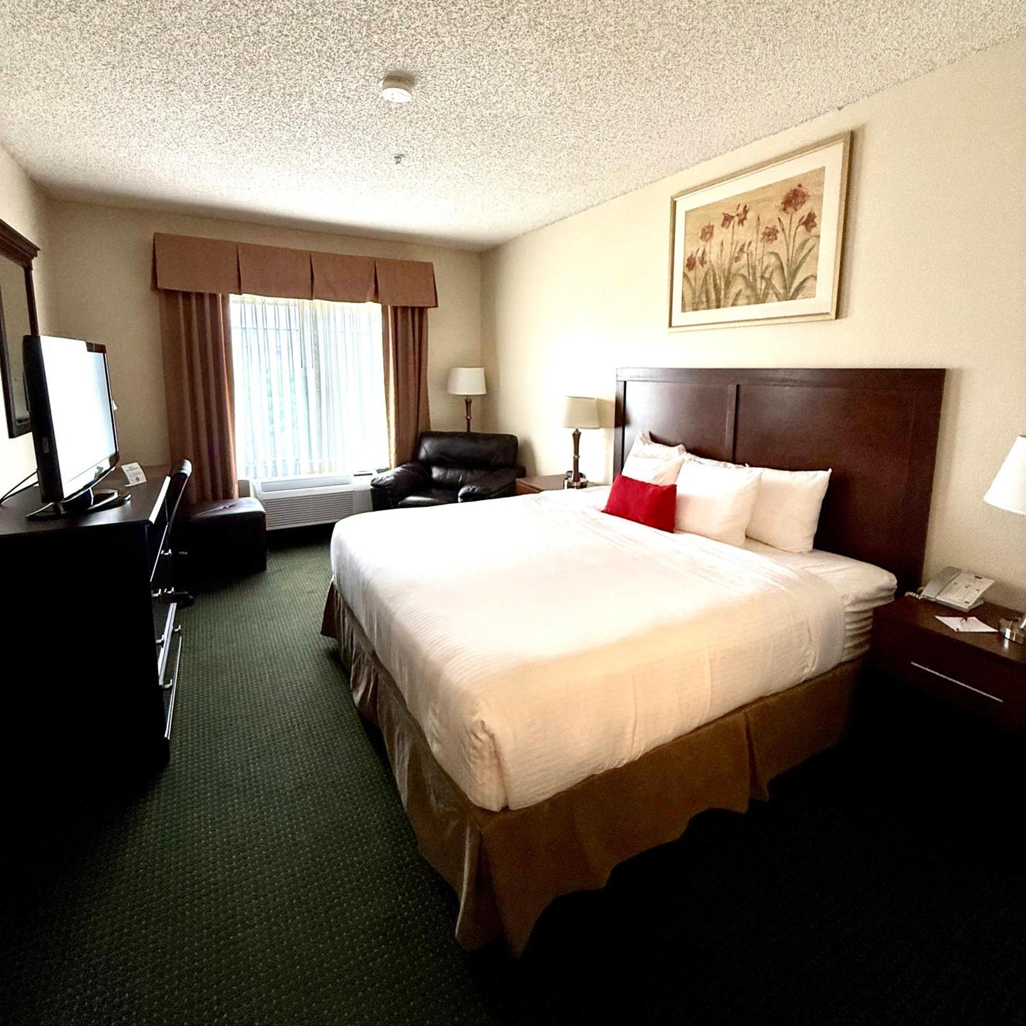 Suite Lit King-Size Deluxe - Non-Fumeurs